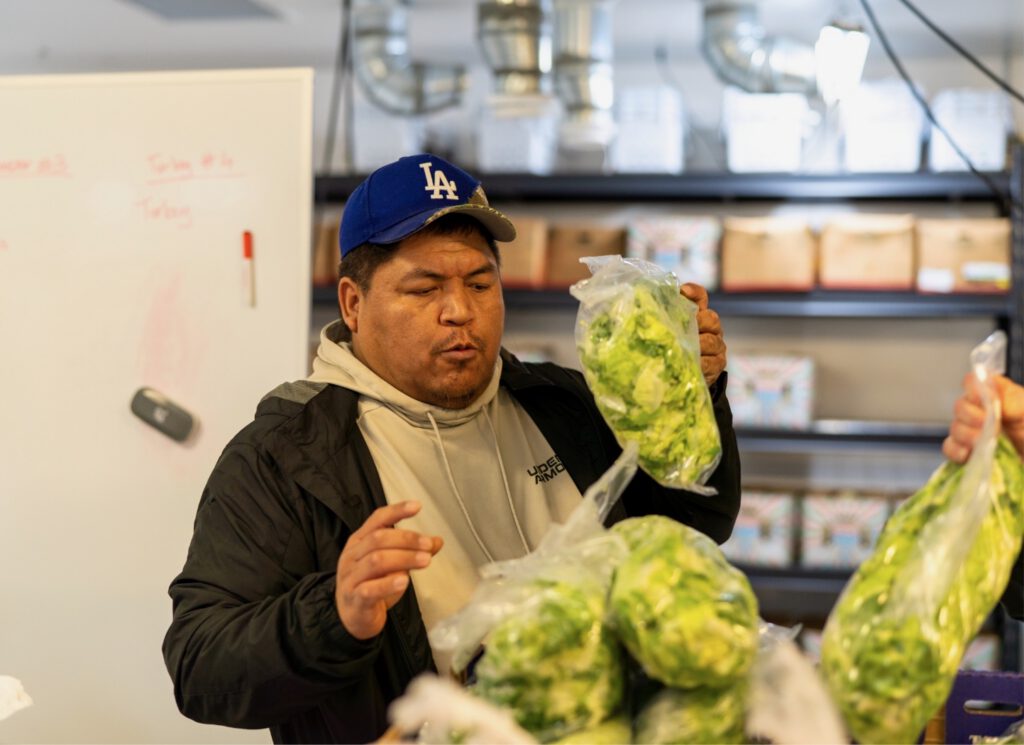 One Year Strong: The Good Food Box