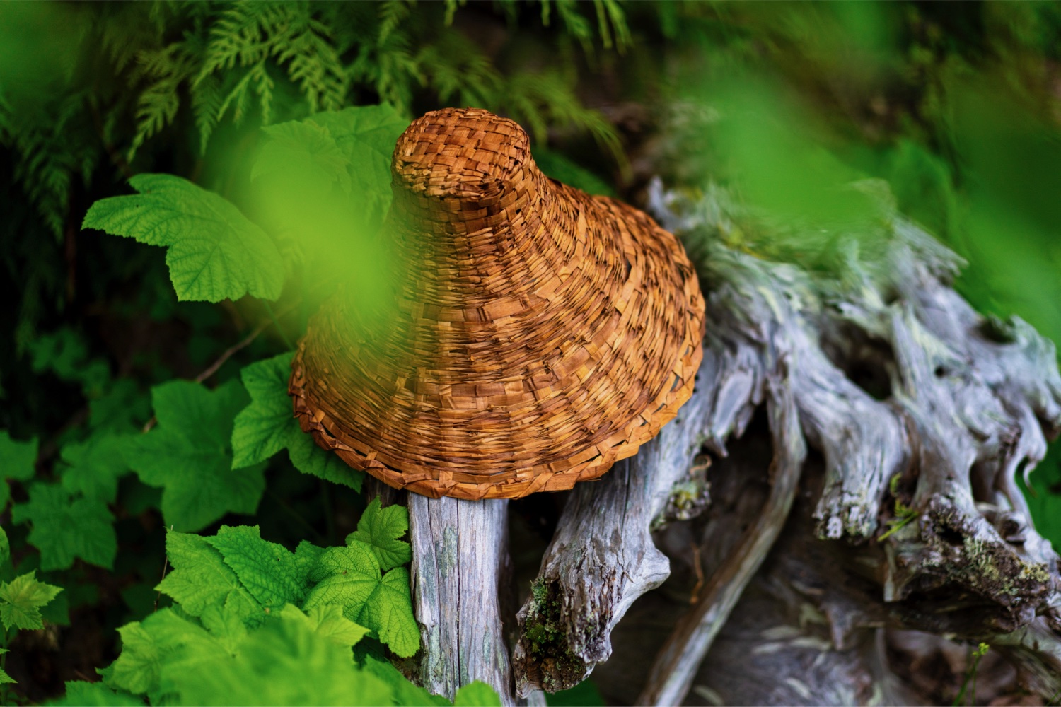 A woven hat with a brown background and green foliage.